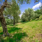 Uliveta Torri Del Benaco