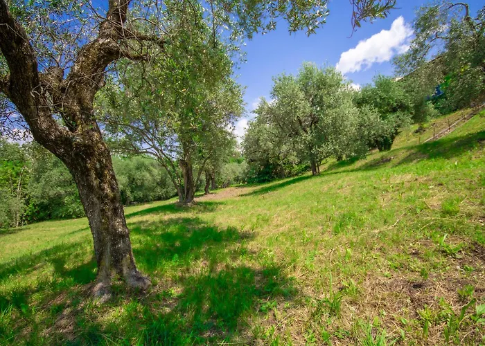 Uliveta Torri Del Benaco