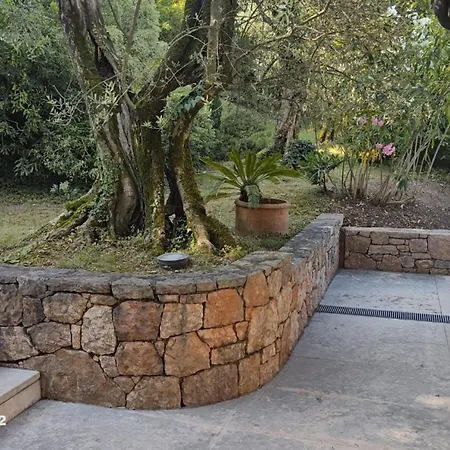 Villa Uliveta *