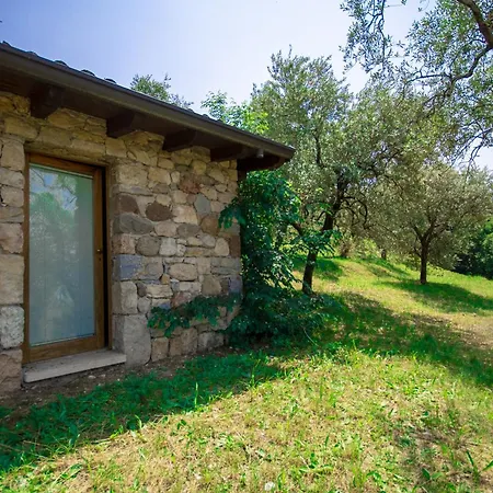 Uliveta Villa