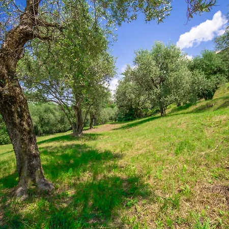 Uliveta Torri del Benaco
