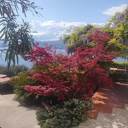 Villa Uliveta Torri Del Benaco